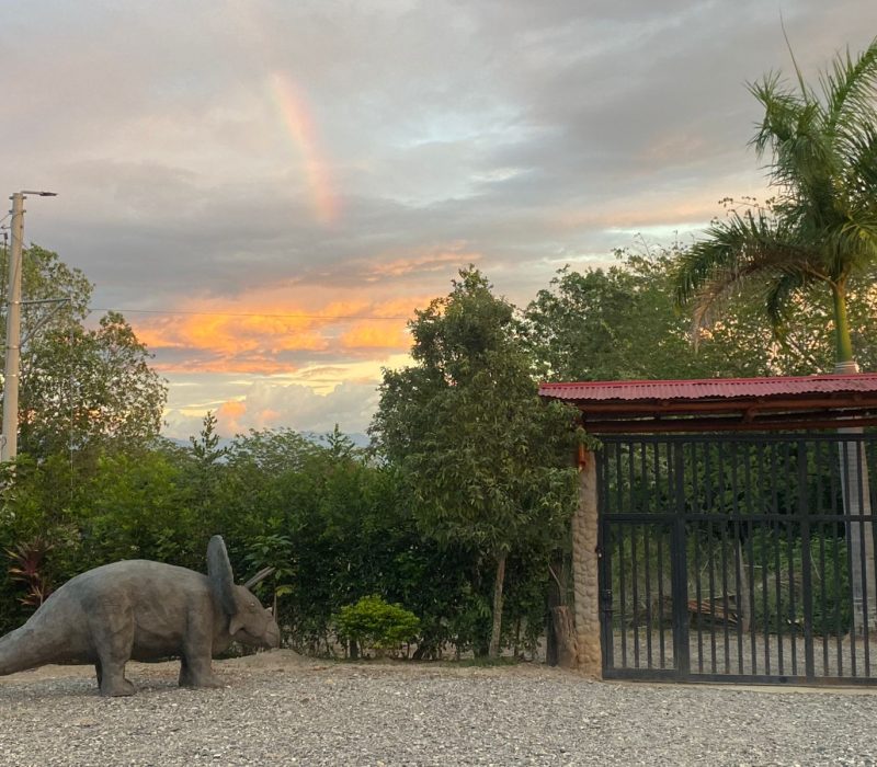 WhatsApp Image 2025-09-29 at 12.14.51 PM